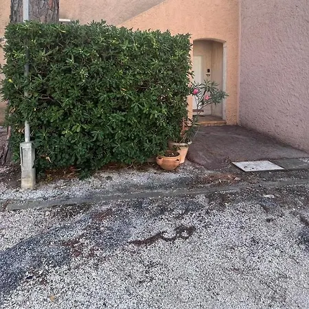 En Rez De Jardin Dans Apartament